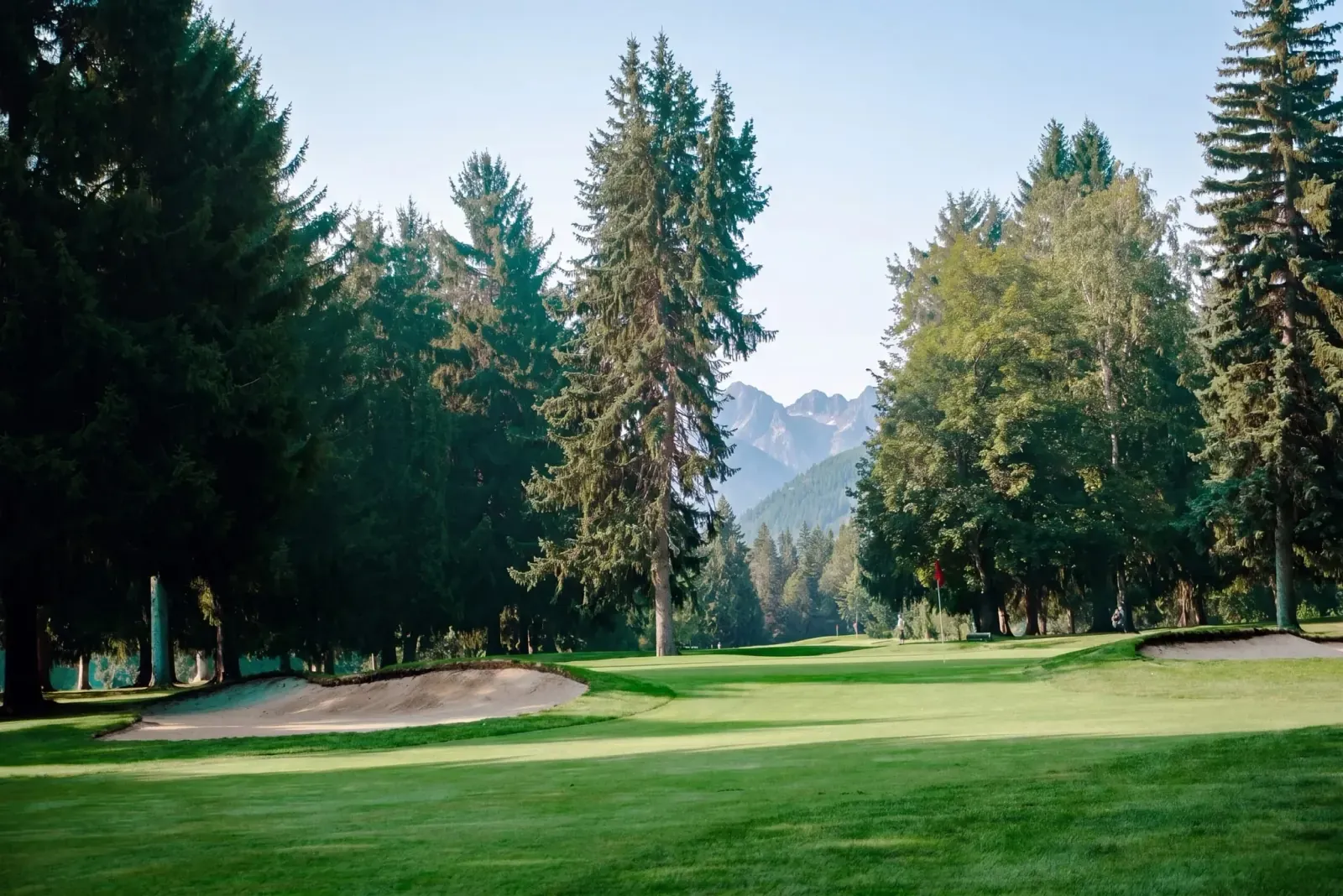 The approach to the 6th green at Birchbank, flanked by bunkers with the Selkirks behind
