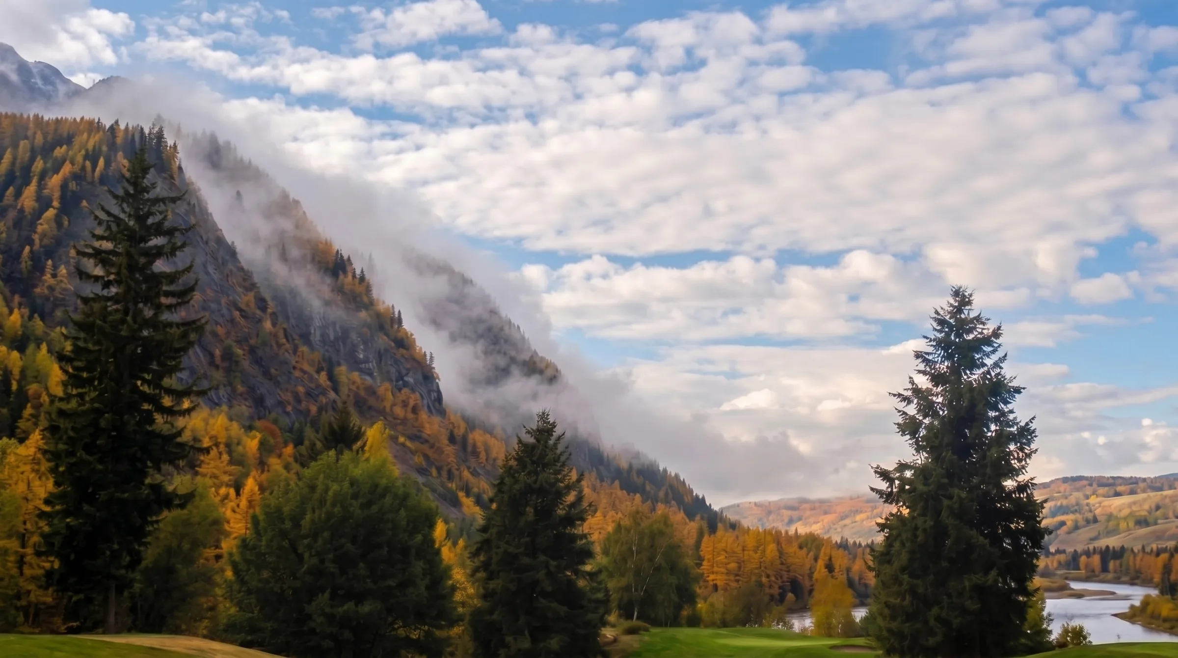 Larches turning gold above the Columbia River at Birchbank in mid-October