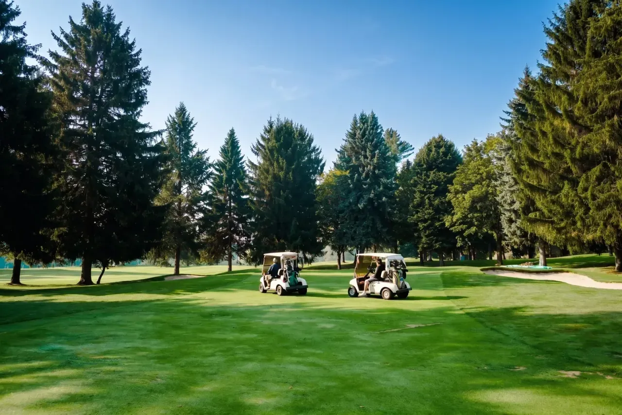Two golf carts on a fairway between rows of evergreens at Birchbank
