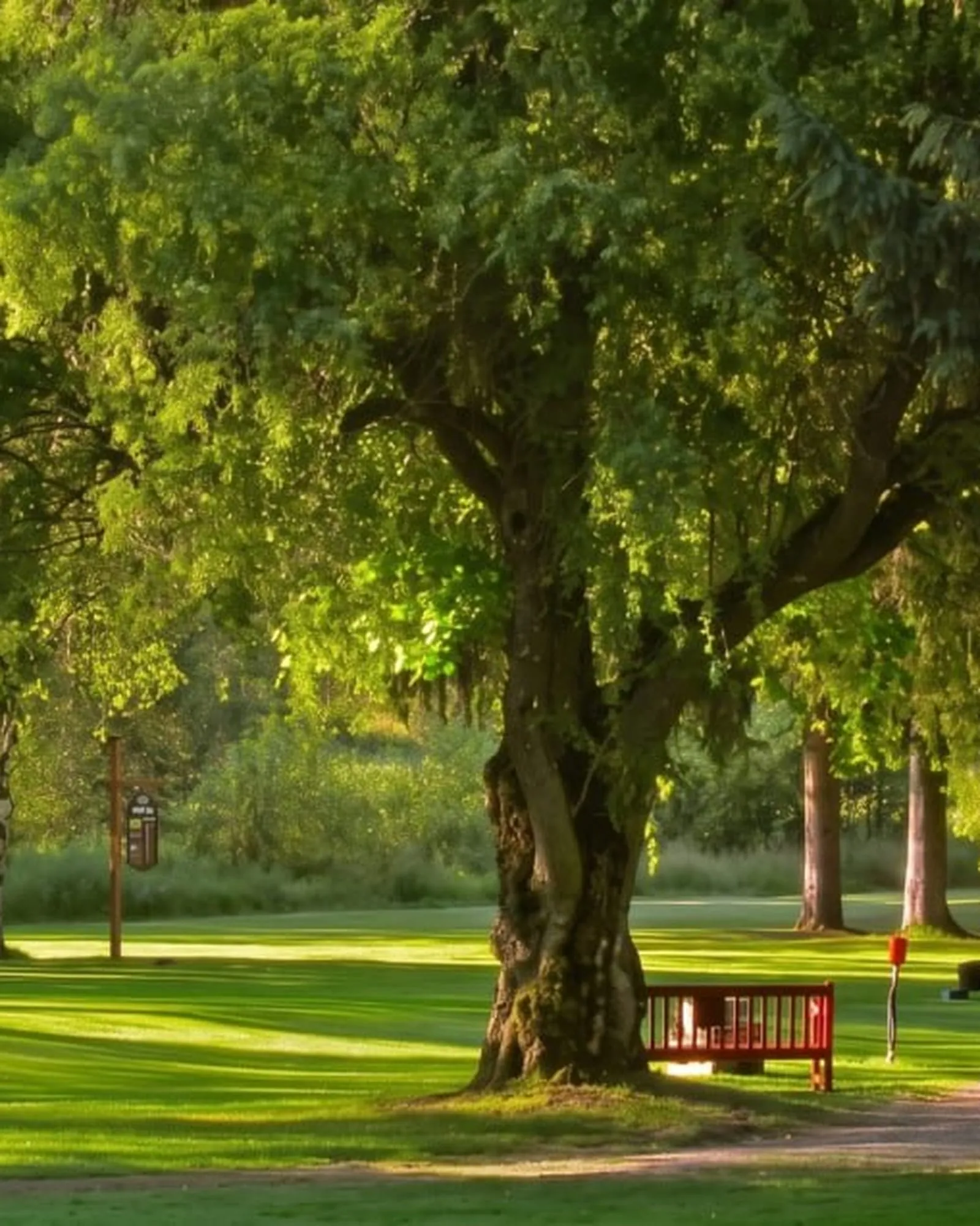 Early morning on the fairway.