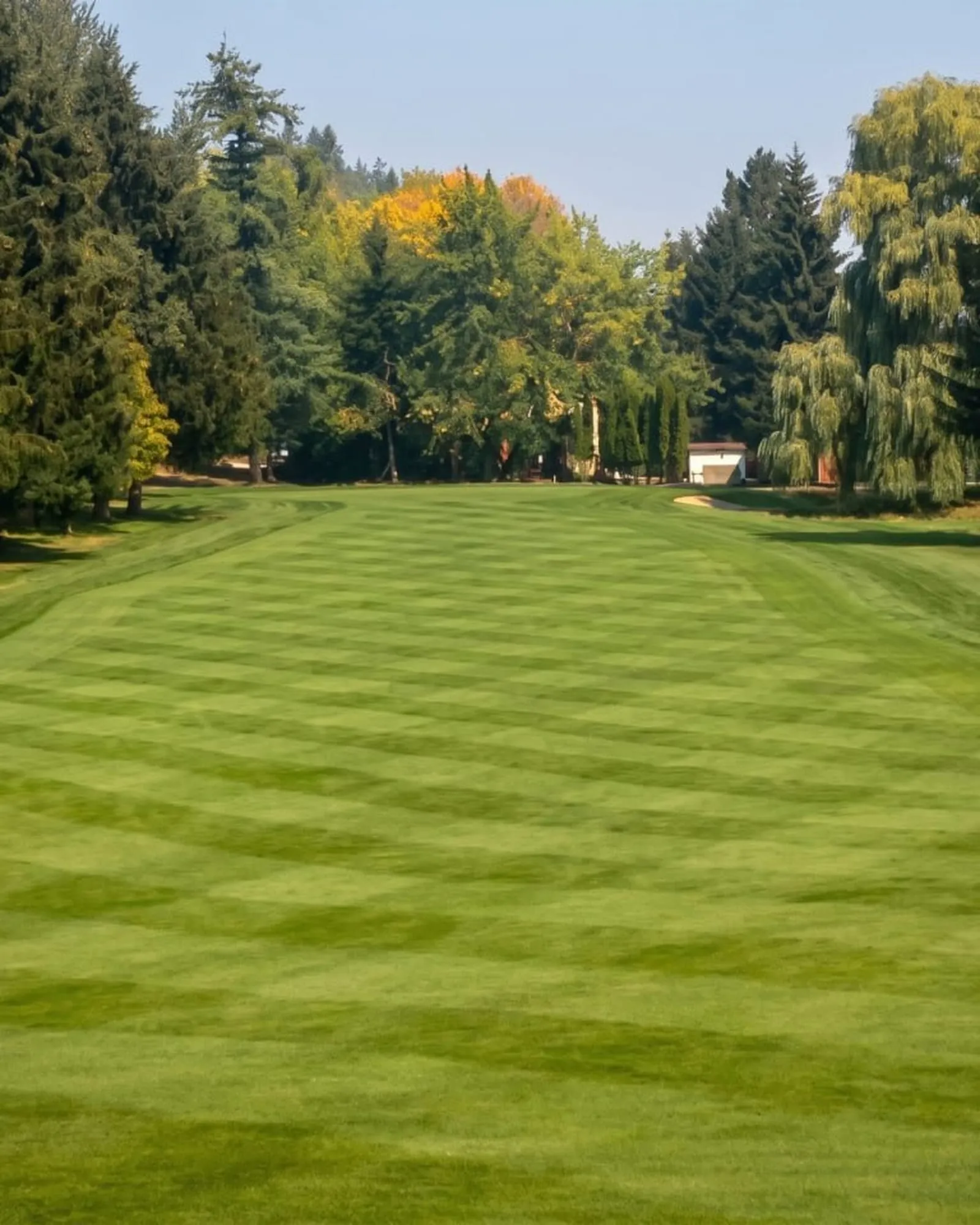 Walking the 18.