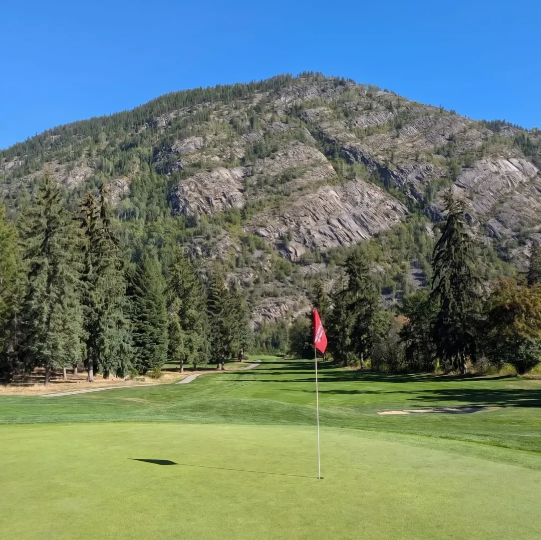 Mountain green, full sun.