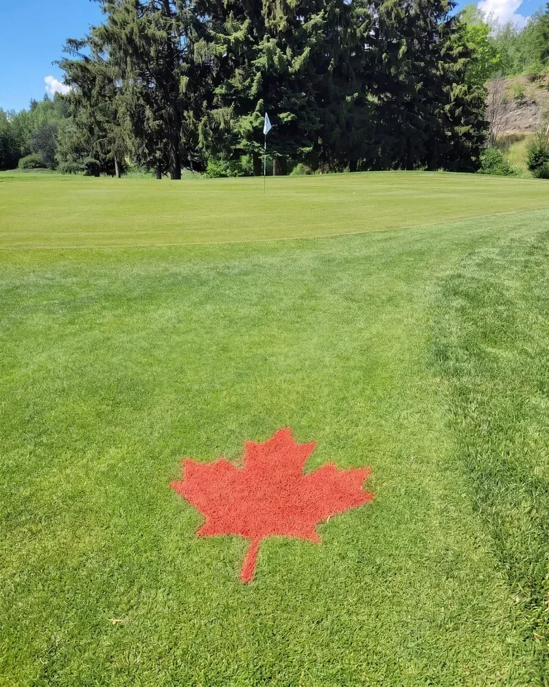 A painted red maple leaf on the grass at Birchbank, with a flag and green visible behind